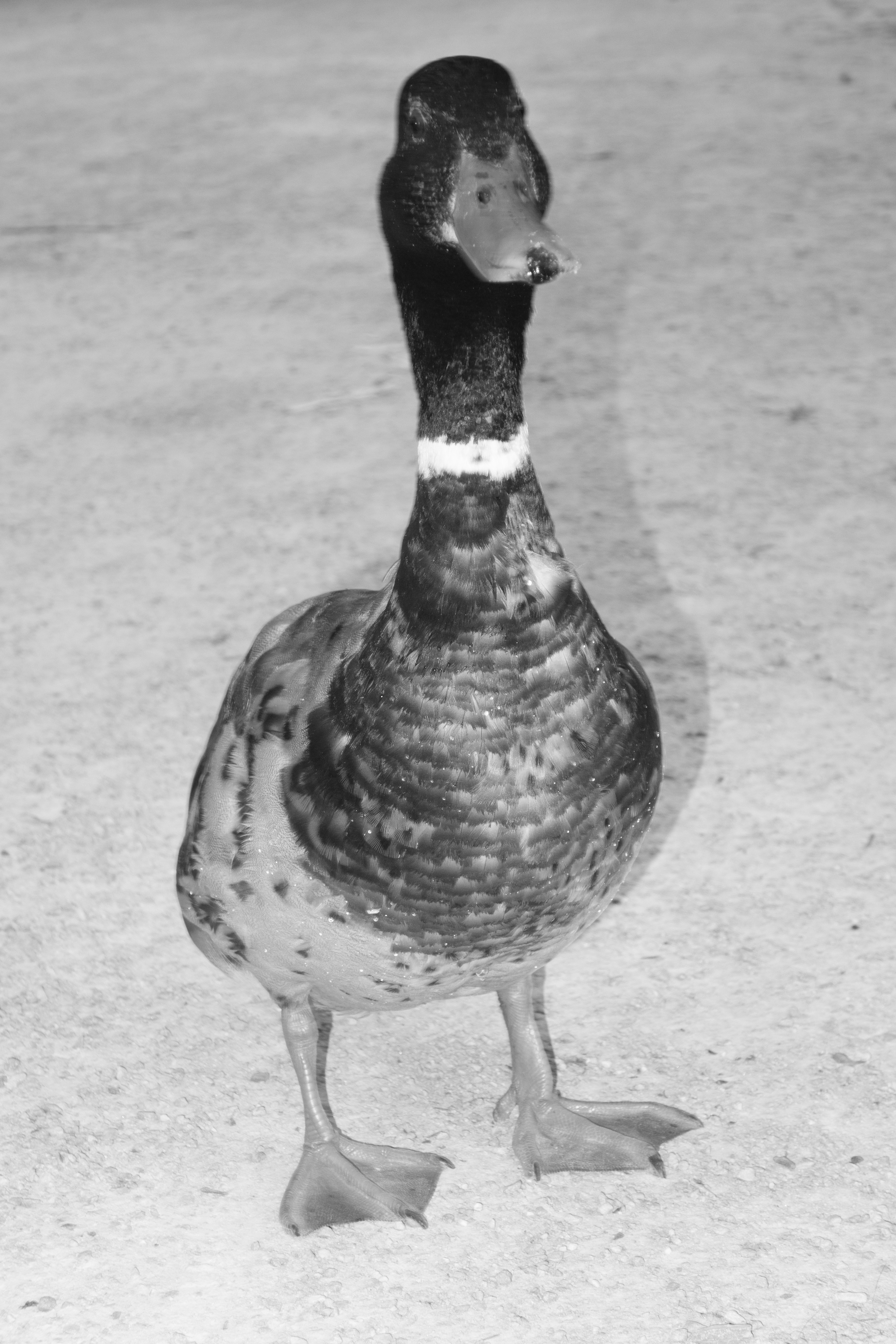 Portrait ou visuel d’accueil-1